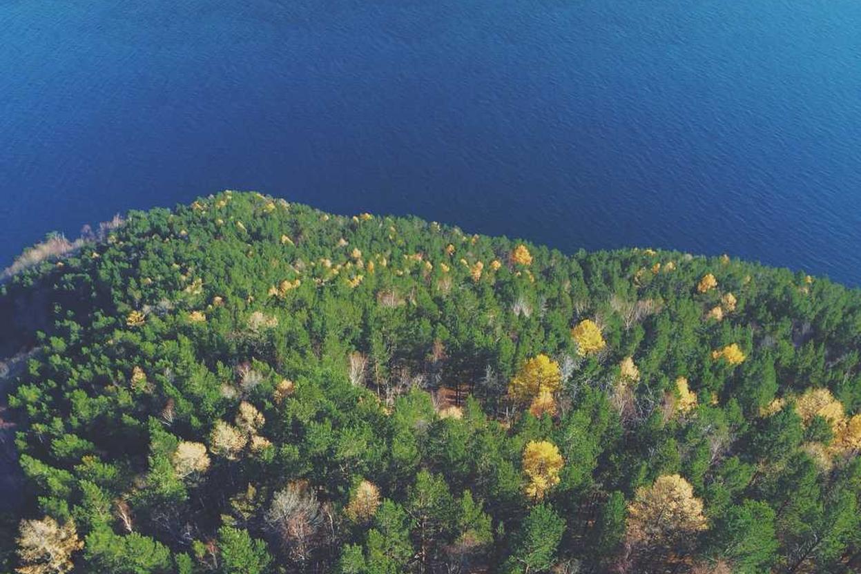 A1a9cf8e 912b 3c8a B4fc Daea9d763afd